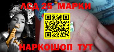 гидропоника Будённовск