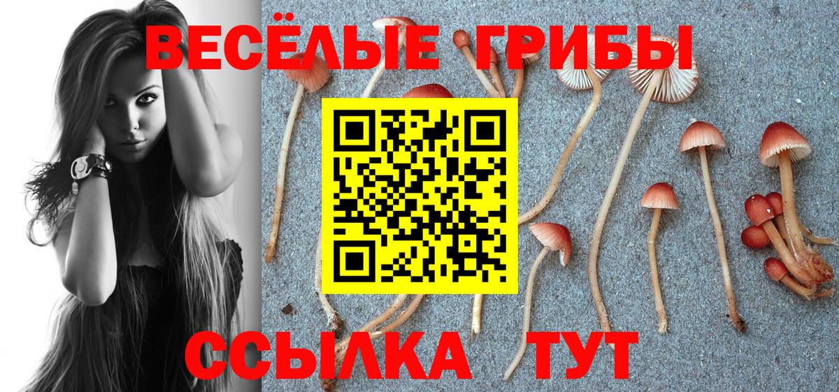 Псилоцибиновые грибы Psilocybine cubensis  Вход с VPN  Нижнеудинск  Псилоцибиновые грибы Psilocybe 